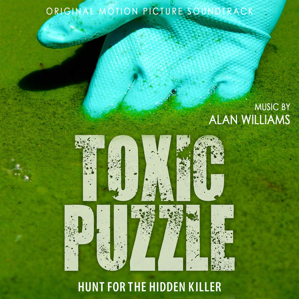 Toxic Puzzle