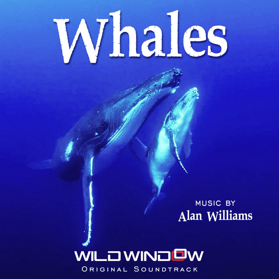 Whales